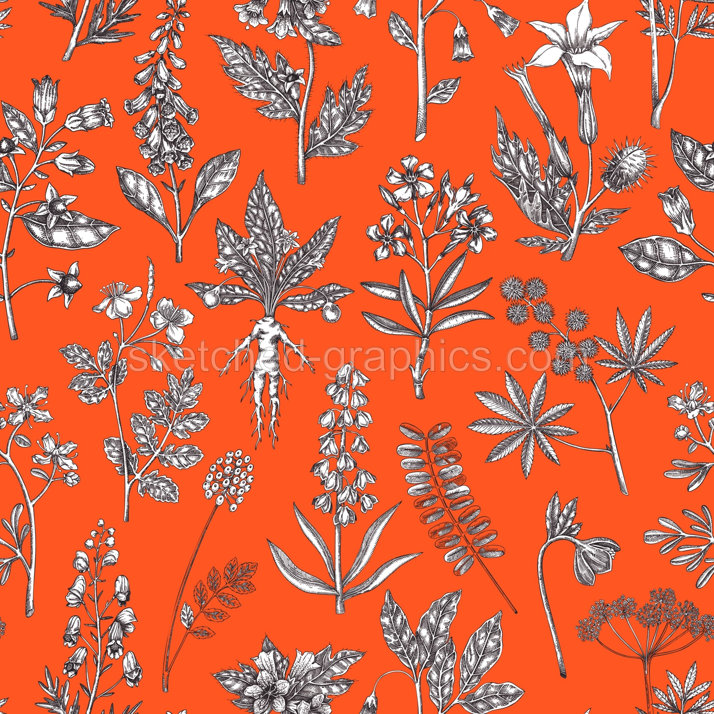 Witch herbs seamless pattern. Poisonous plants background. Apothecary herbs hand-drawn vector illustration. Bohemian design. NOT AI generated Illustration